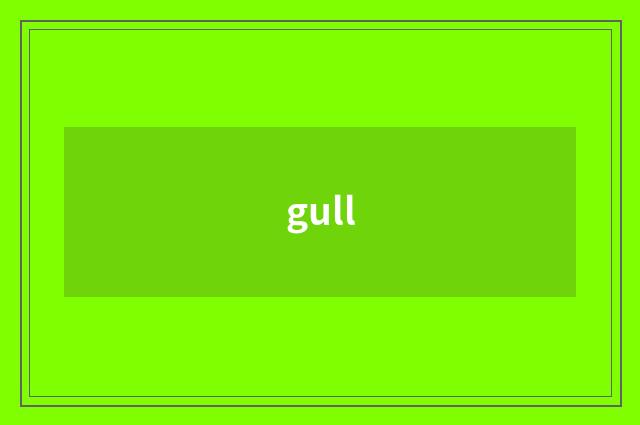 gull