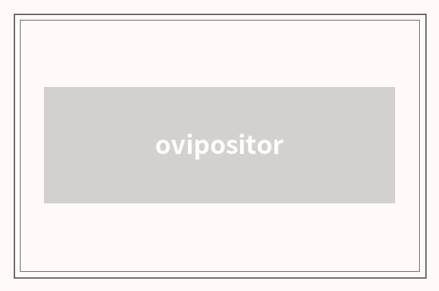 ovipositor