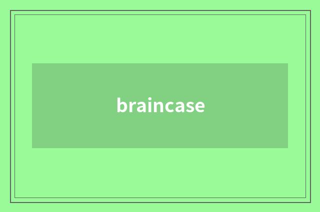 braincase