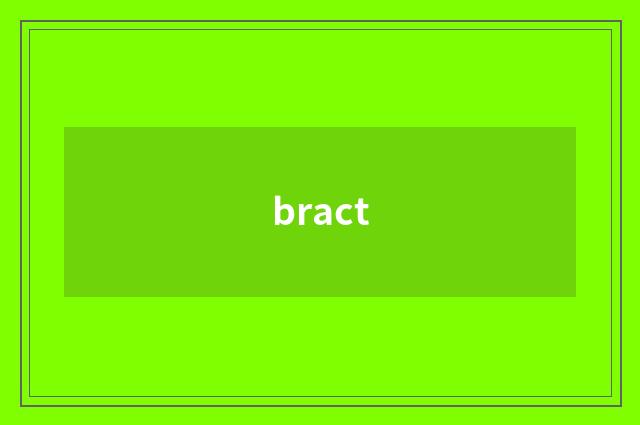 bract