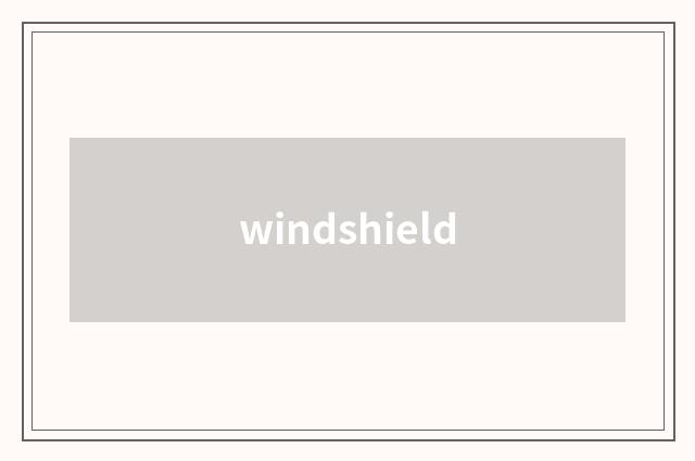 windshield