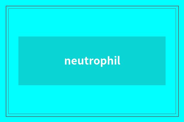 neutrophil