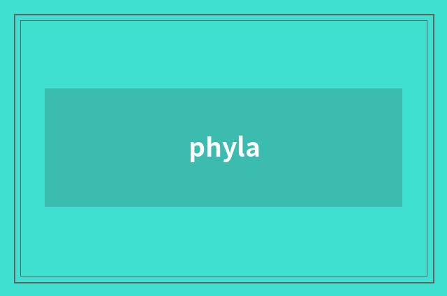 phyla