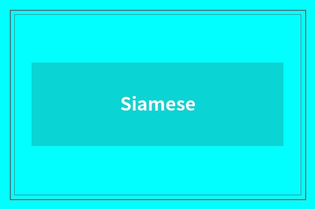 Siamese