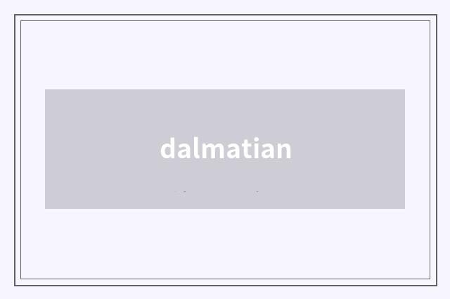 dalmatian