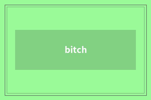 bitch