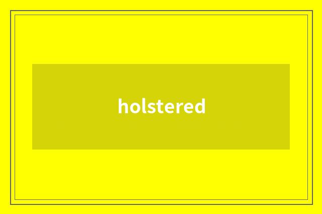 holstered