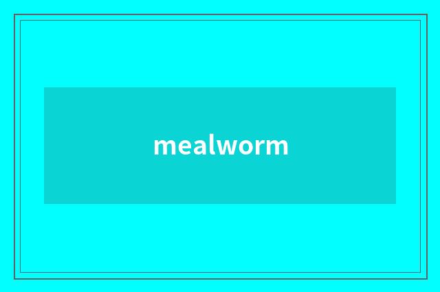 mealworm