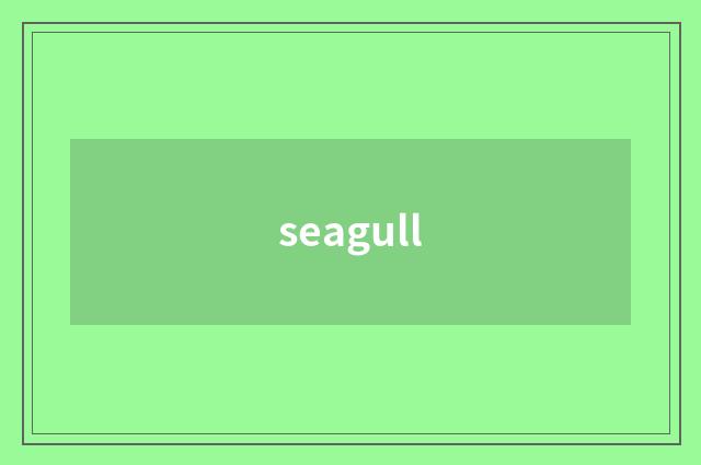 seagull
