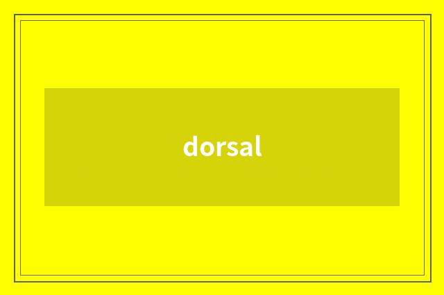 dorsal