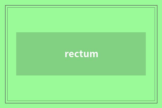 rectum