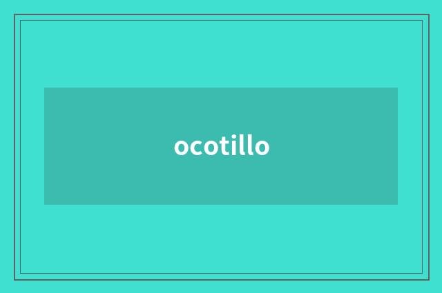 ocotillo