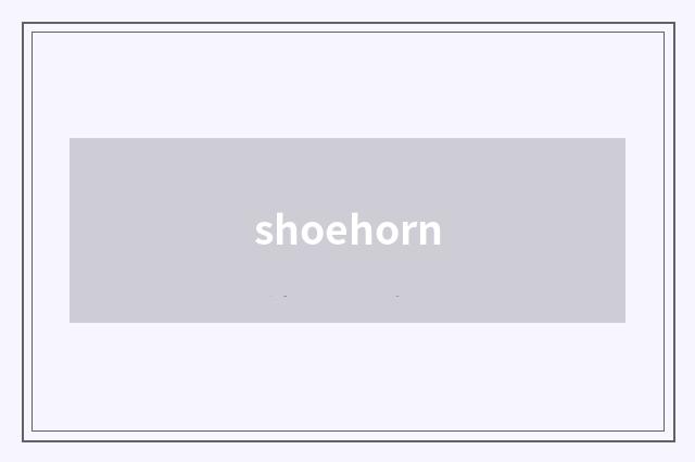 shoehorn