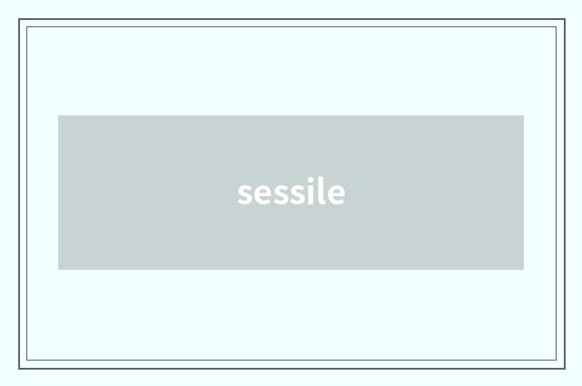 sessile