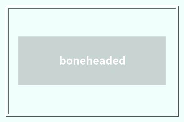 boneheaded