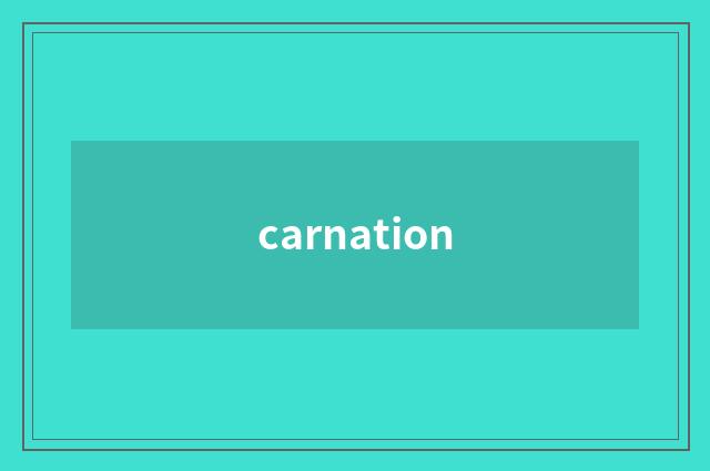 carnation