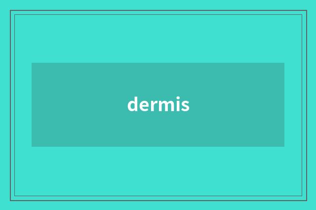 dermis