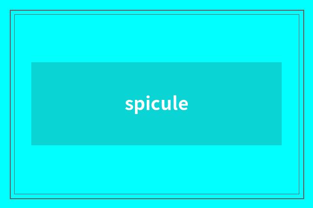 spicule