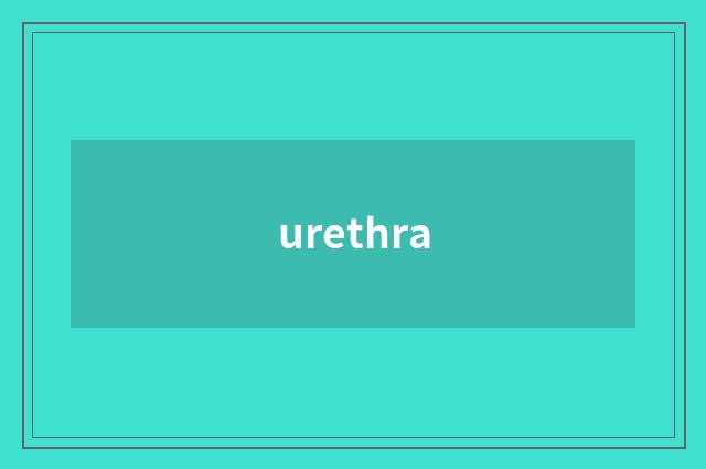 urethra