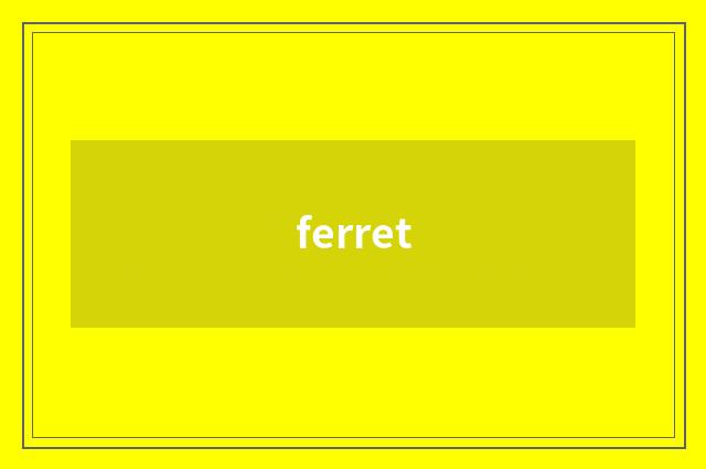 ferret
