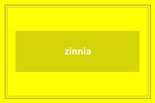 zinnia