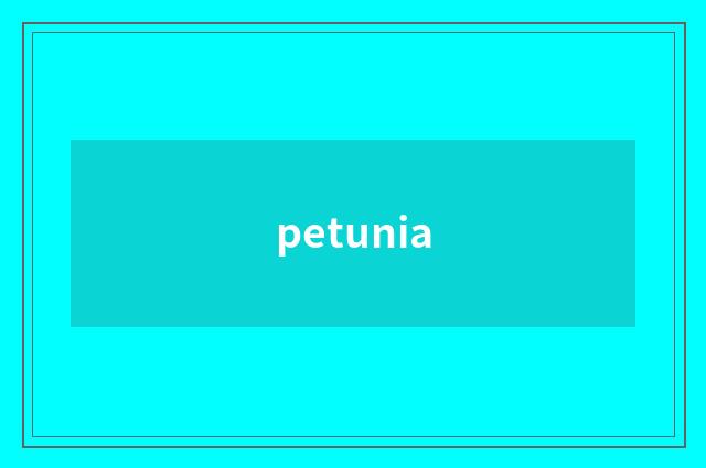 petunia