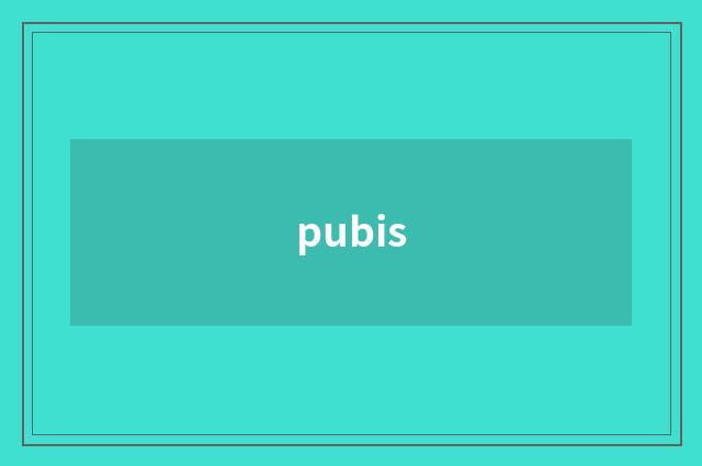 pubis