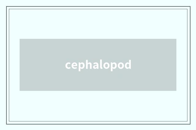 cephalopod