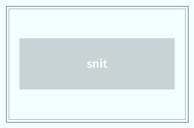 snit