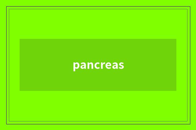 pancreas