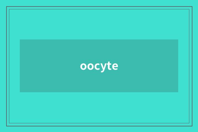 oocyte