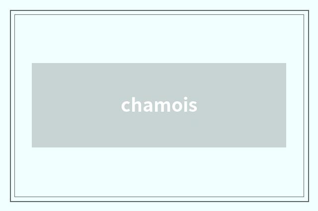 chamois