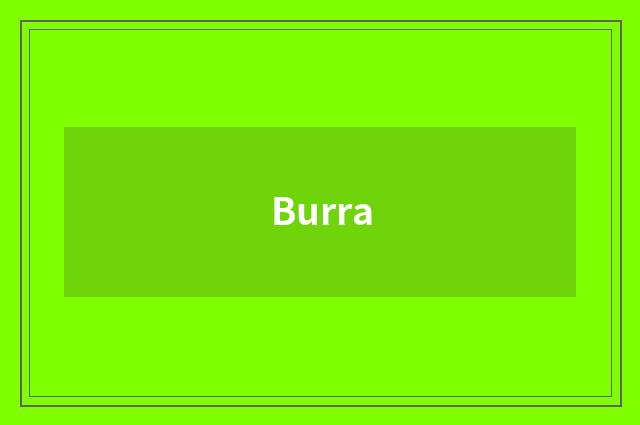 Burra