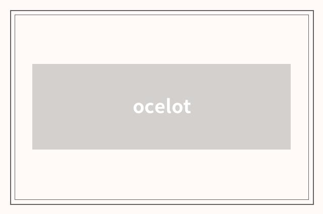 ocelot