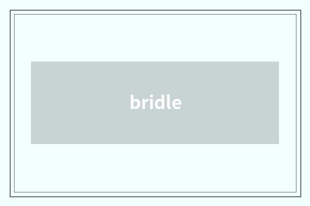 bridle