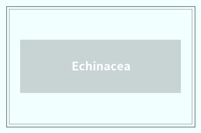 Echinacea