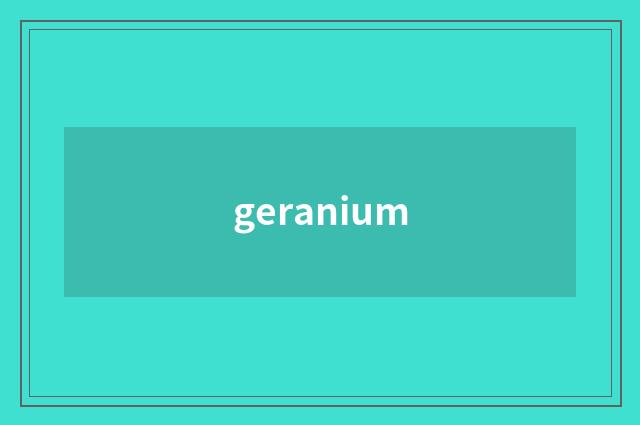 geranium