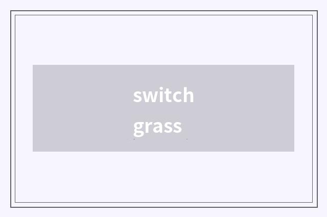 switchgrass