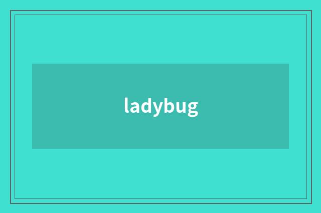 ladybug