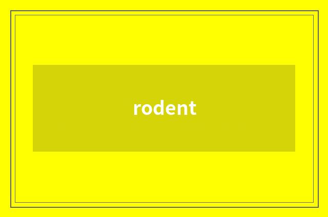 rodent