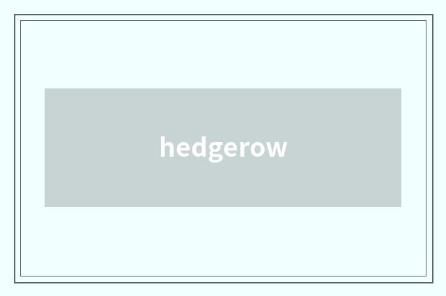 hedgerow