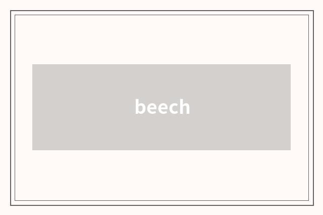 beech