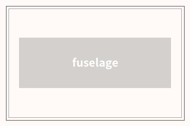 fuselage