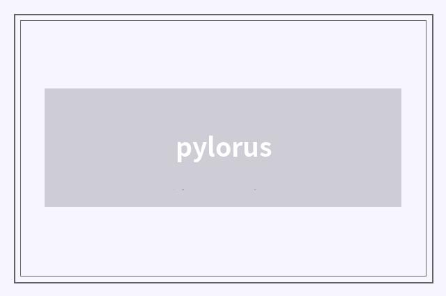 pylorus