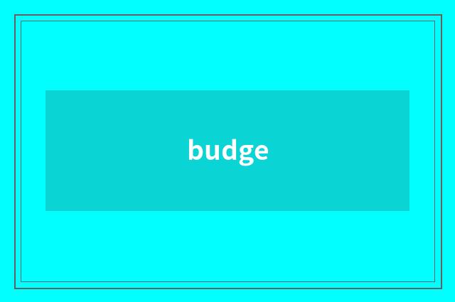budge