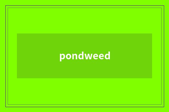 pondweed