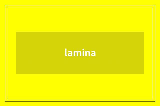 lamina