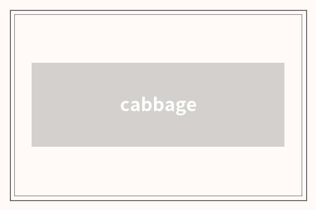 cabbage