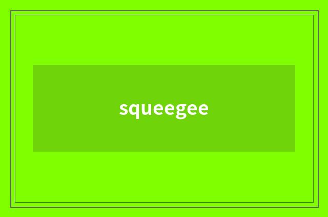 squeegee