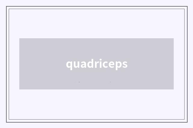 quadriceps